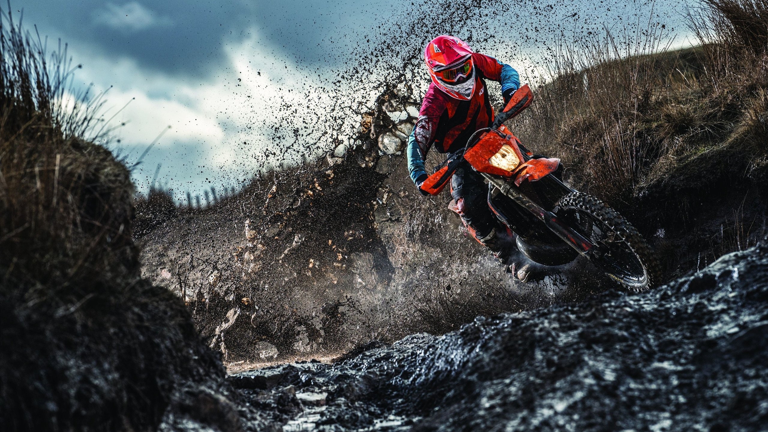 开云体育平台APP-挪威关键战突围瑞士，阿劳霍成为关键先生，当局外人成为破局者  第2张